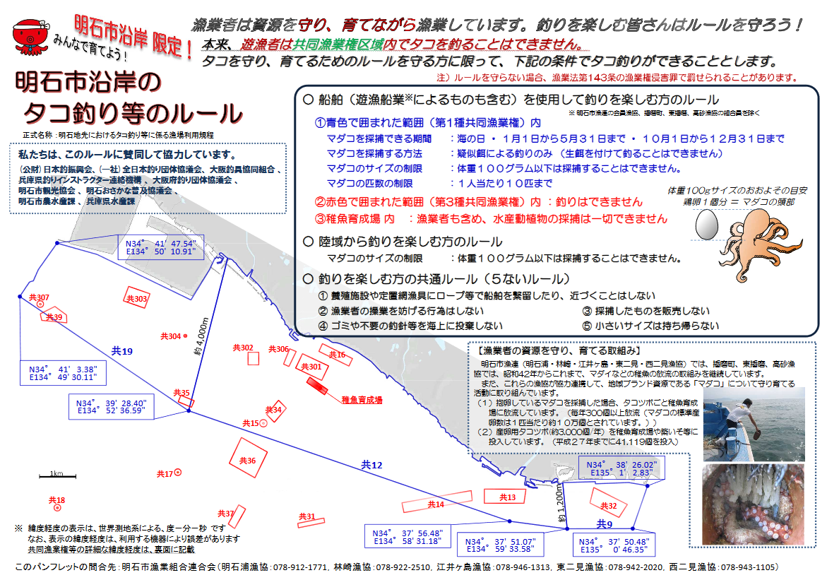 6月から9月に明石タコは法規制があります 明石タコの釣りルール