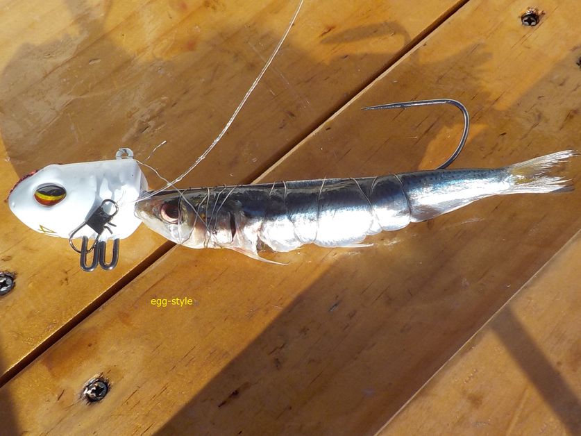 タチウオ釣り ボートのタチウオテンヤ仕掛けの釣りの解説