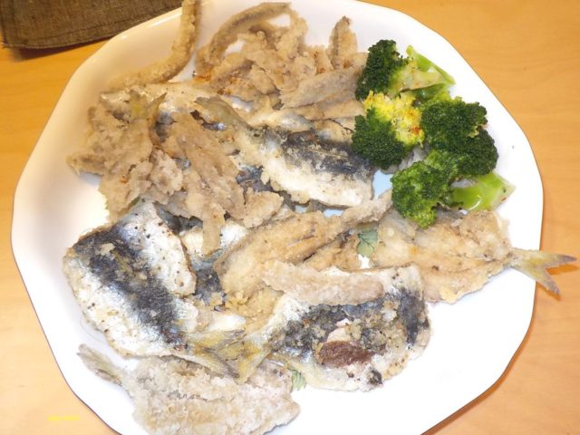 イワシを釣って おいしく食べる 初冬の新鮮なイワシで料理 その2