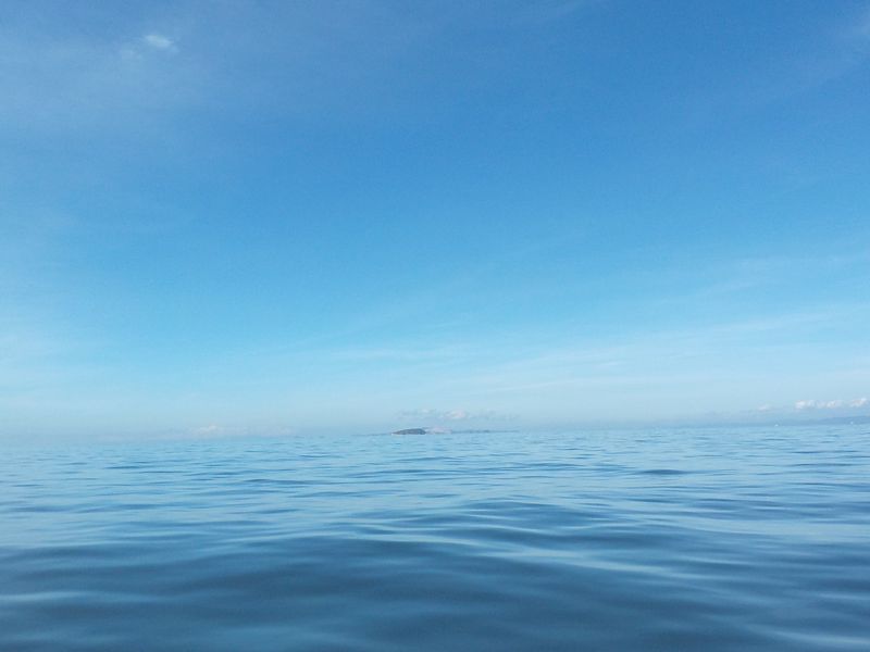 エッセイ 瀬戸内海を美しい海から豊かな海へ