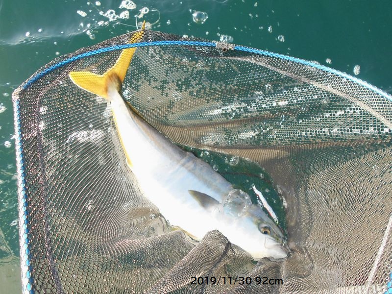 ブリをジギングで釣る