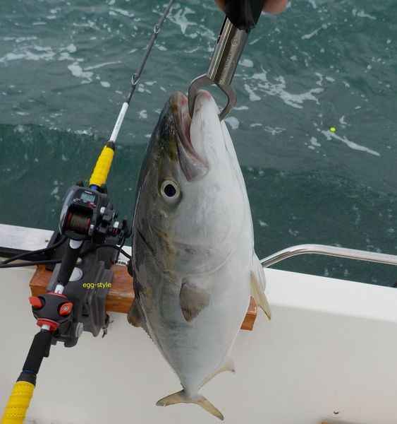 釣りの重要タックル リールのハンドルは右か左かの知識と使い方