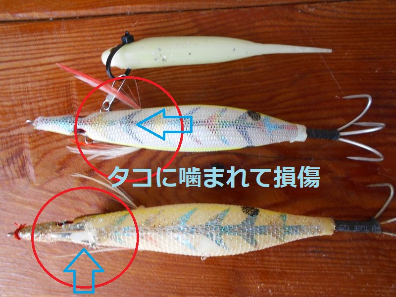 ボートのタコ釣り 明石沖で新調エギロッドの初釣りテスト