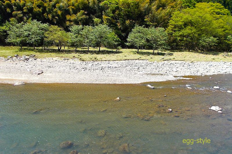 川面へのアプローチが抜群なシーン上下流に浅場の瀬が存在する