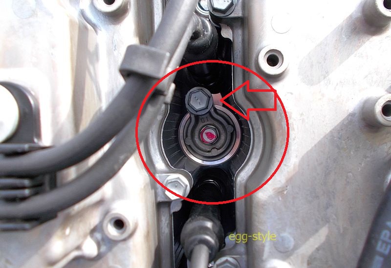 形態がこれのみ違う 矢印のボルトを外しプライヤーで外す