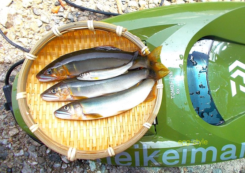 投げない 巻かない ステイさせるで釣り、なんとなく見えた肝