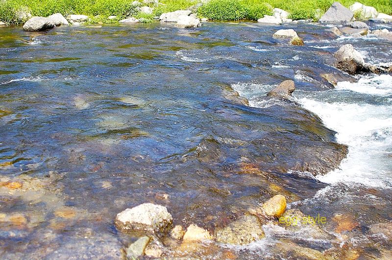 瀬肩 この流速の石に縄張りがある この中にステイさせる