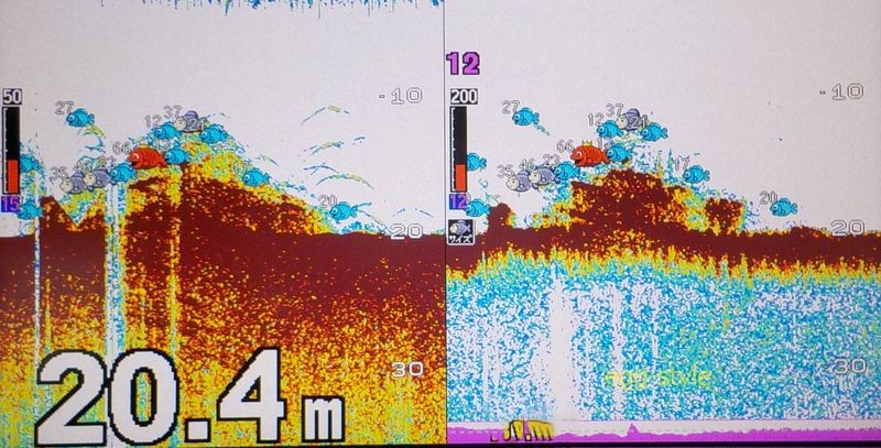 それらしき時合いの魚探反応 船を回してこの上を流すとガツン