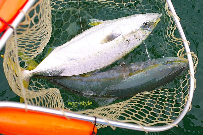 得した気分になれるダブルは やはりうれしいサプライズ