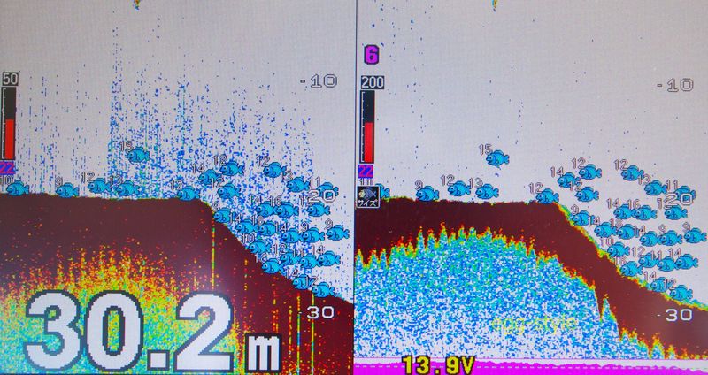 魚探反応　カケアガリのベイトがこんなには久しぶり