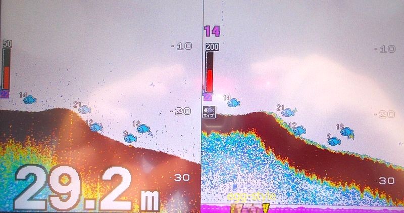 ベイトがいる潮筋を流すのが肝　いないところは実績場でもいない