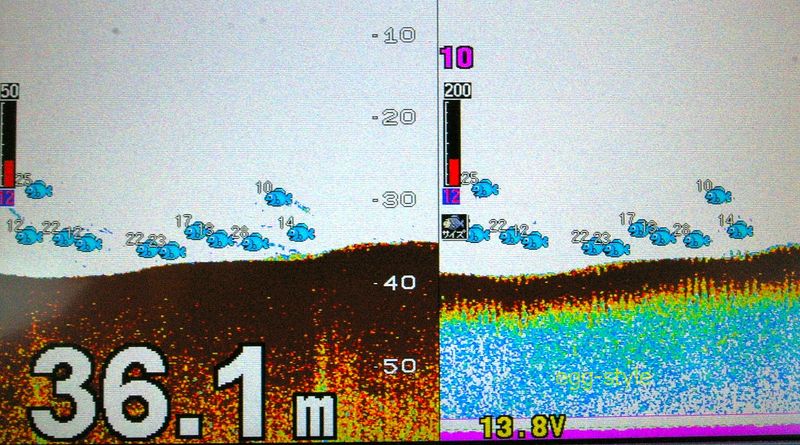 時合いになればベイトの群れが出て、青ものがジグに惑わされる