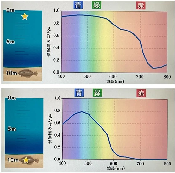 出典元：NHK「サイエンスZERO」