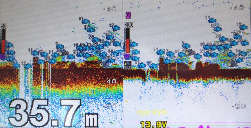 魚探反応は、そこそこに見えるのですが、活性がないようです