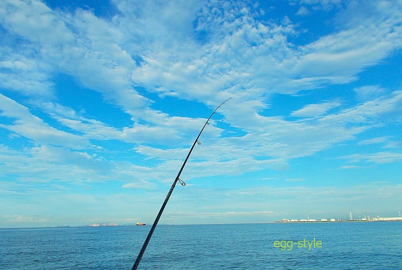 暑いけれど、何となく秋を感じる空
